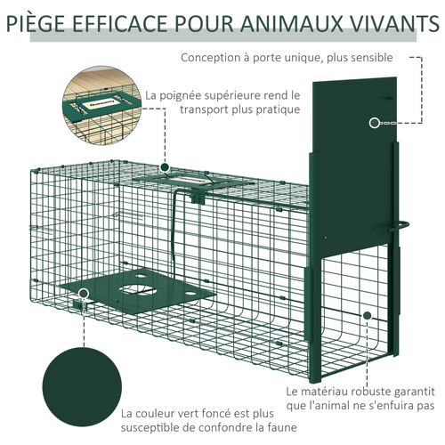 Piège De Capture Pour Petits Animaux Entrée Et Poignée Acier Vert