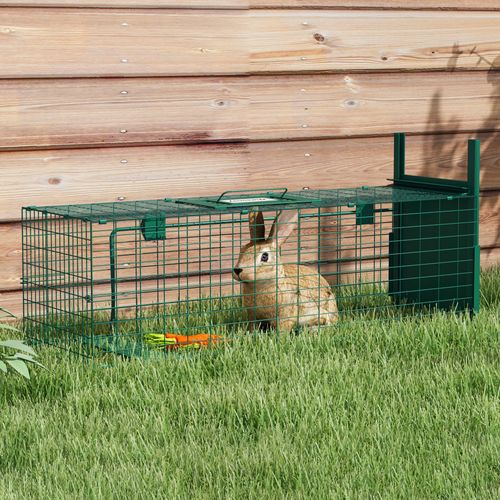 Piège De Capture Pour Petits Animaux Entrée Et Poignée Acier Vert