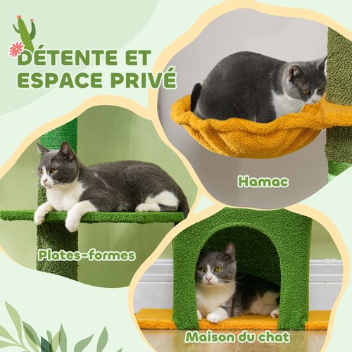 Arbre à Chat Cactus Du Sol Au Plafond - H.230-275 Cm - Équipement Multiple