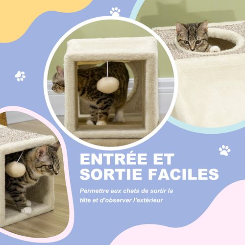 Tunnel Grattoir Niche Modulable Pour Chat 3 En 1