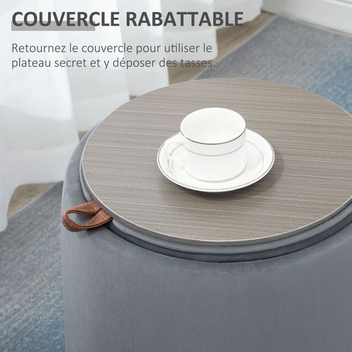 Pouf Coffre Table Basse D'appoint 3 En 1 - Couvercle Double Face - Velours