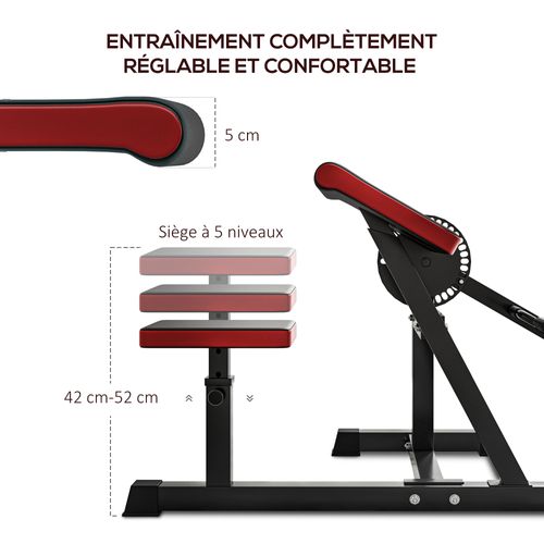 Banc à Biceps Preacher Curl Réglable Max. 120 Kg Acier Noir Rouge