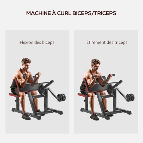 Banc à Biceps Preacher Curl Réglable Max. 120 Kg Acier Noir Rouge