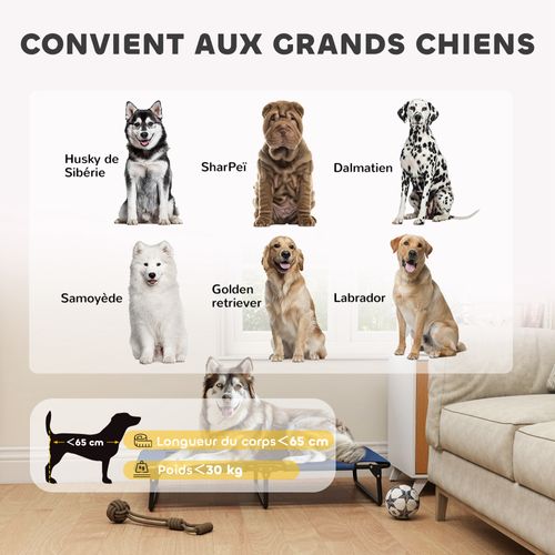 Transat Pour Animaux Pliable - Lit Pour Chien - Bleu