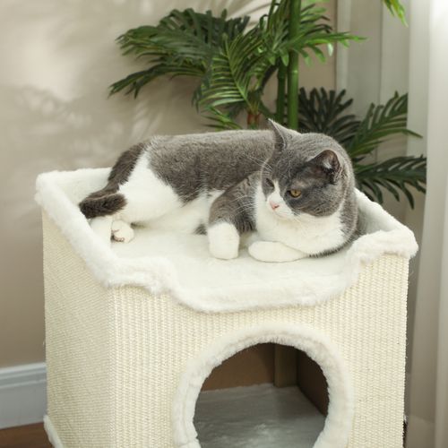 Tour à Griffer Pour Chat 3 Niveaux 2 Niches Panier Observation