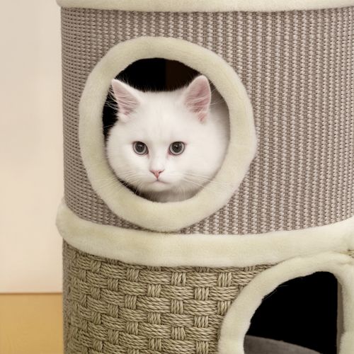 Tour à Griffer Pour Chat - 2 Niches, Plateforme - Sisal Corde D'algues Beige