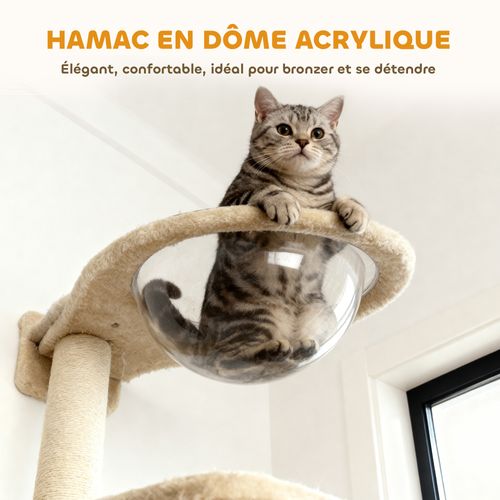 Arbre à Chat Design Mural Parcours Mural Pour Chat 6 Pièces Crème Gris