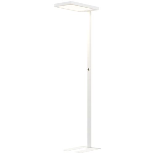 Lampadaire LED Dimmable Sur Pied Réglable Télécommande Blanc