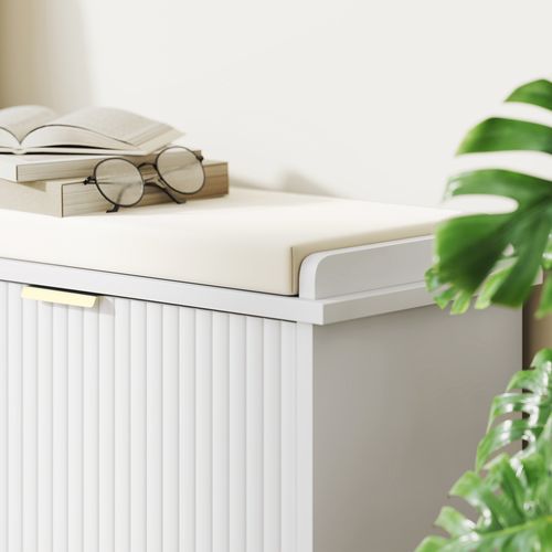 Banc Meuble à Chaussures Design 2 En 1 - Porte - Blanc Doré