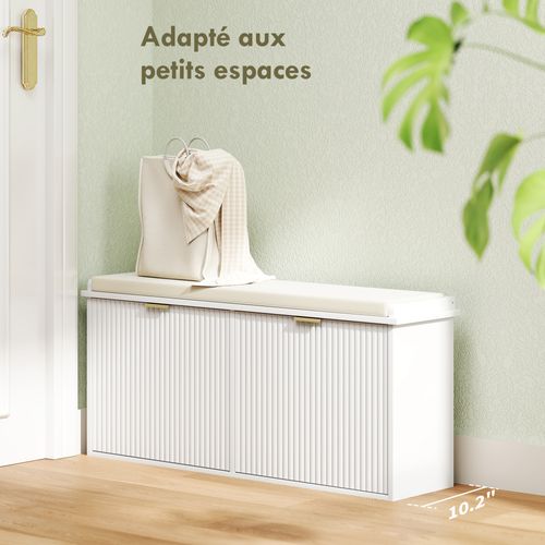 Banc Meuble à Chaussures Design 2 En 1 - Porte - Blanc Doré