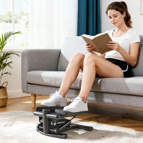 Mini Stepper Fitness Disque De Torsion 2 En 1 Réglable Écran LCD