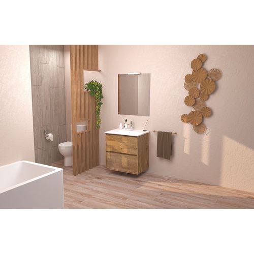 Meuble De Salle De Bain Belis - à Suspendre - Miroir Suspendu - 60cm - Bois