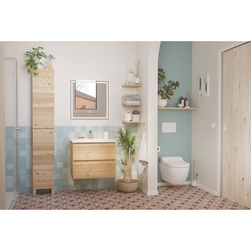 Meuble Salle De Bain à Suspendre Lila - 60cm -2 Tiroirs - Bois - Miroir LED Laura