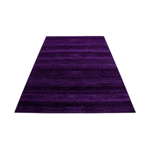Tapis Rayé Uni à Courtes Mèches Rectangle Ocrul Lilas 200x290