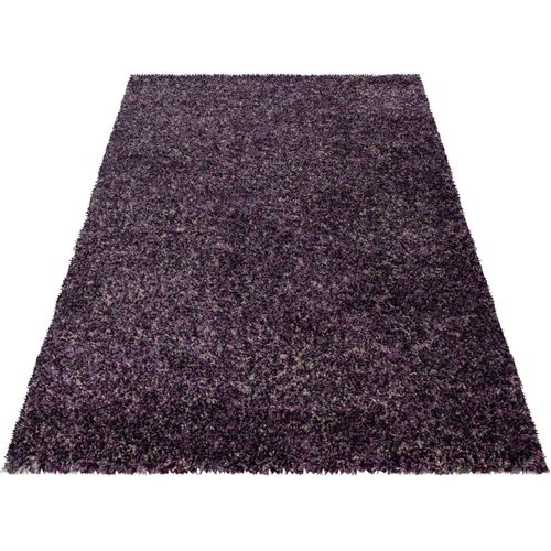 Tapis Shaggy Rectangle Bicolore Moderne Benno Violet 280x370