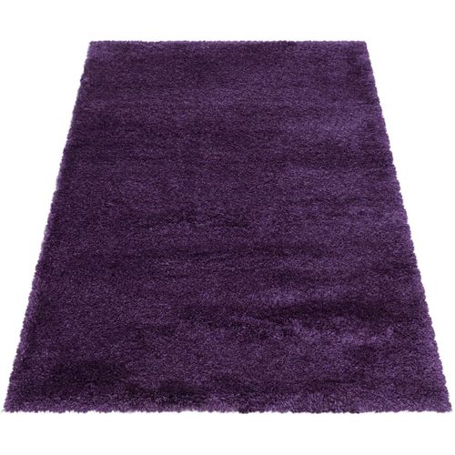 Tapis Shaggy Moelleux Uni Rectangle Cloudy Violet 240x340