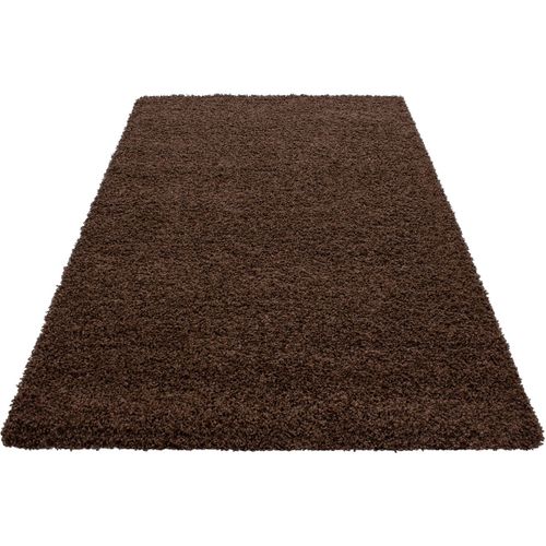 Tapis Uni Shaggy Rectangle Aimee Marron 60x110