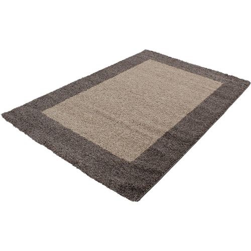Tapis Shaggy Contemporain Rectangle Ximoz Taupe 300x400