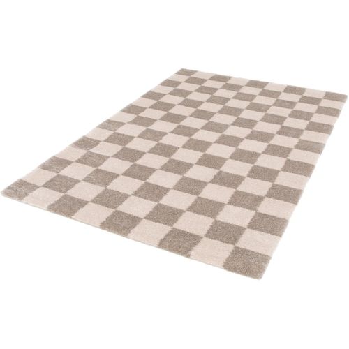 Tapis Graphique Design Recyclé Tergus Gris 160x230