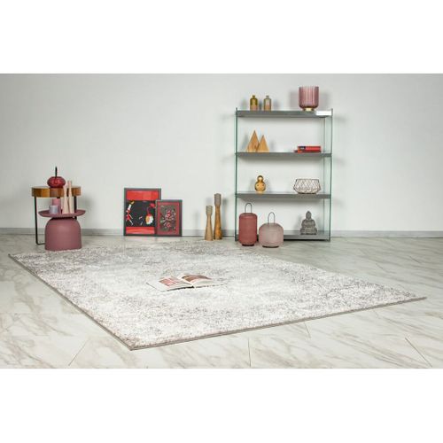 Tapis Style Orient Effet 3d Beige Argenté Cosmia Beige Argenté 160x230