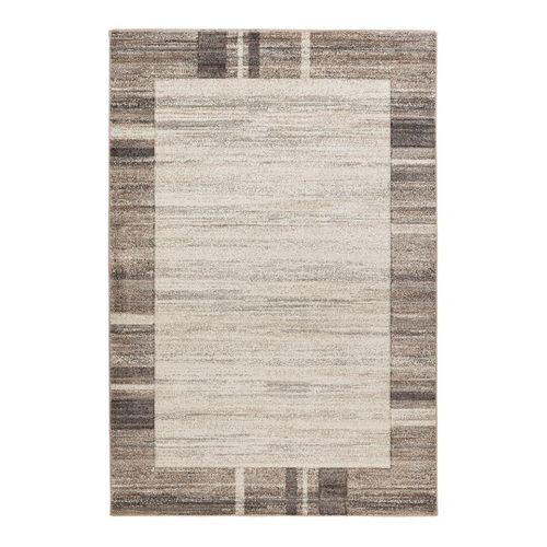 Tapis Contemporain Intérieur Rectangle Nafa Beige Argenté 160x230