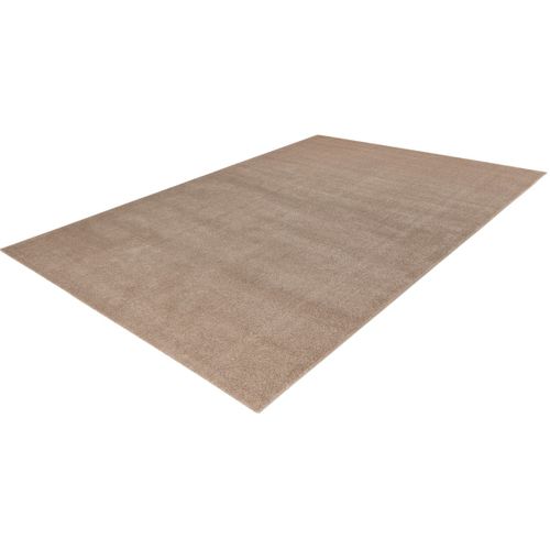 Tapis Uni Poils Ras Moderne Nubio Beige 120x170