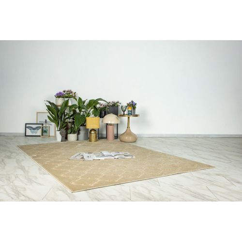 Tapis Scandinave Effet 3d Graphique Miramar Beige 200x290