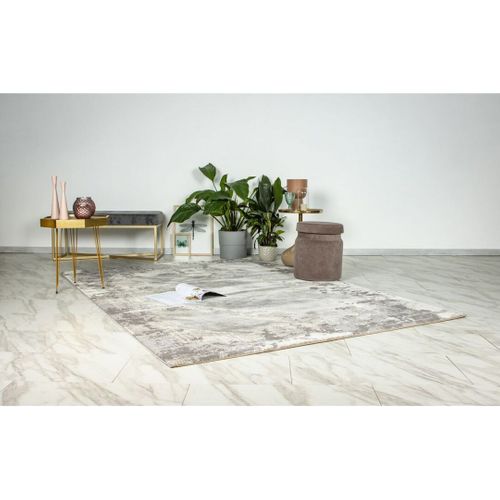 Tapis Moderne à Poils Ras Abstrait Eddie Argenté 200x290