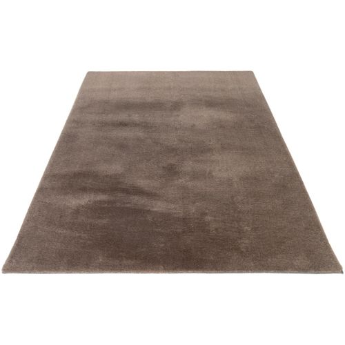 Tapis Doux Uni Moderne à Courtes Mèches Shaddy Taupe 200x290