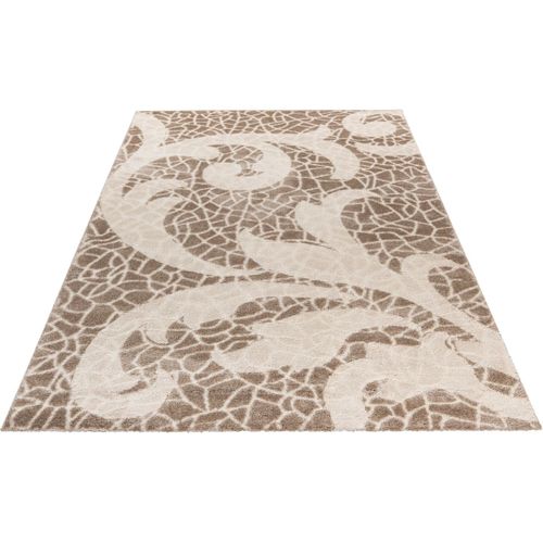 Tapis Rectangle à Poils Courts Baroque Line Taupe 200x290