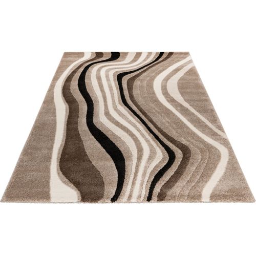 Tapis Moderne Courbe Rectangle Nina Taupe 80x150