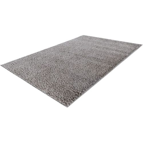 Tapis à Poils Longs Uni Moderne Bingo Argenté 40x60