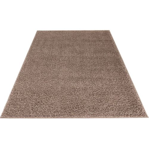 Tapis à Poils Longs Uni Moderne Bingo Taupe 80x150
