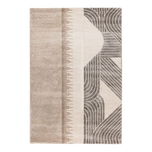 Tapis Design Poils Ras Taupe Gobi Taupe 200x290