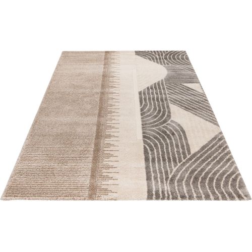 Tapis Design Poils Ras Taupe Gobi Taupe 200x290