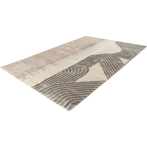 Tapis Design Poils Ras Taupe Gobi Taupe 240x330
