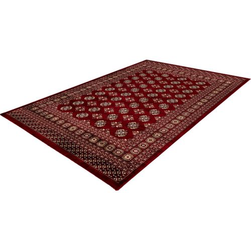 Tapis D'orient Rouge Rectangle Mara Rouge 240x340