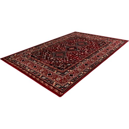 Tapis Oriental Rouge Intérieur Cleo Rouge 200x290
