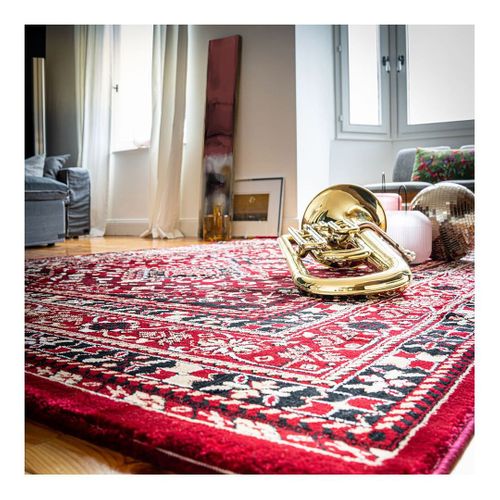 Tapis Oriental Rouge Intérieur Cleo Rouge 200x290