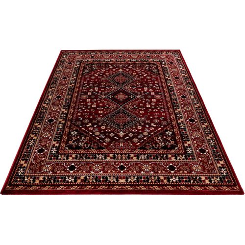 Tapis Oriental Rouge Intérieur Cleo Rouge 200x290