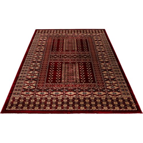 Tapis Rouge D'orient Rectangle Haley Rouge 100x300
