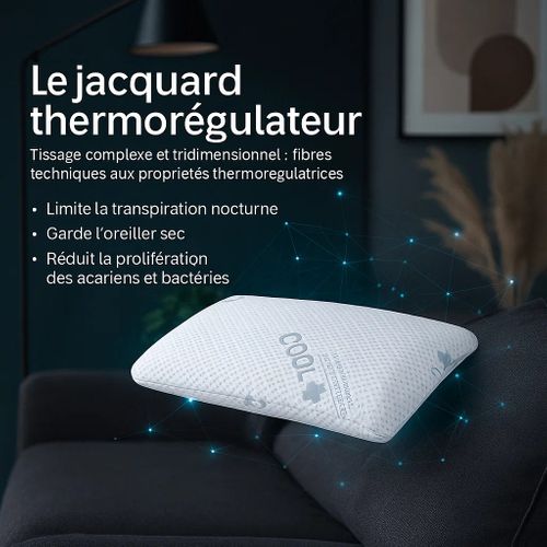 Oreiller Mémoire De Forme Rafraichissant, Micro-perforé - Collection Frais - 60 X 60 Cm