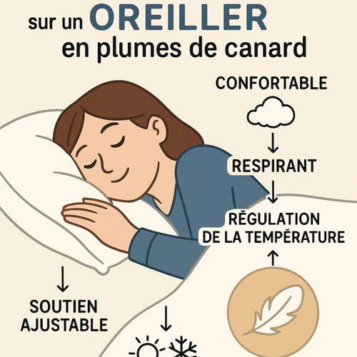 Oreiller 100% Plumes De Canard, Soutien Mi-ferme, Confort Naturel - Collection Plumes - 30 X 50 Cm