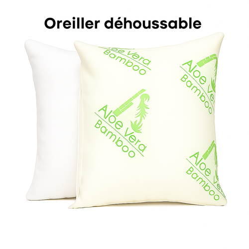 Oreiller Aloe Vera Microfibre Hypoallergénique, Bambou - Collection Natura - 60 X 60 Cm