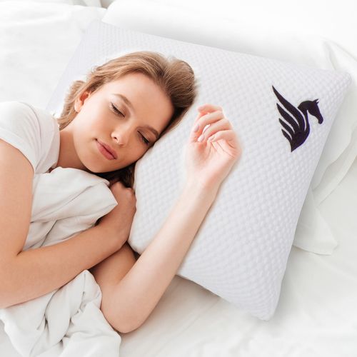 Oreiller Pégase 40 X 60 Cm - Mémoire De Forme Et Latex - Face Été Hiver