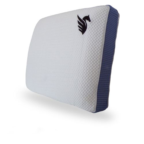 Oreiller Pégase 40 X 60 Cm - Mémoire De Forme Et Latex - Face Été Hiver