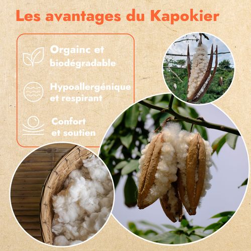 Oreiller Kapok 60 X 60 Cm : Ultra Moelleux, Résistant Et Respirant - Organique - Housse En Coton