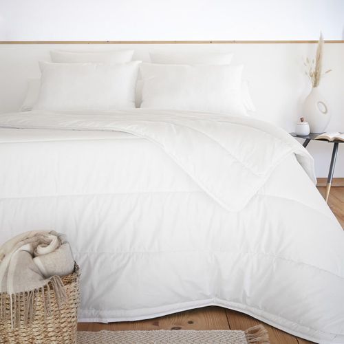 Oreiller Coton Anti-acariens 50 X 70 Cm - Softline