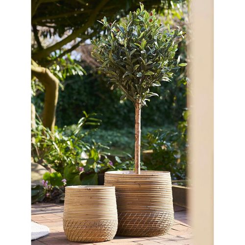 Lot De 2 Cache-pots D.39cm Et D.29cm En Rotin Kubu Tressé - Nalini