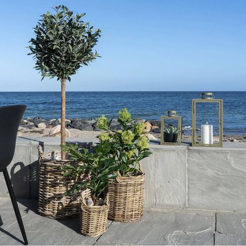 Figuier Décoratif Artificiel Hauteur 60cm - Figueria